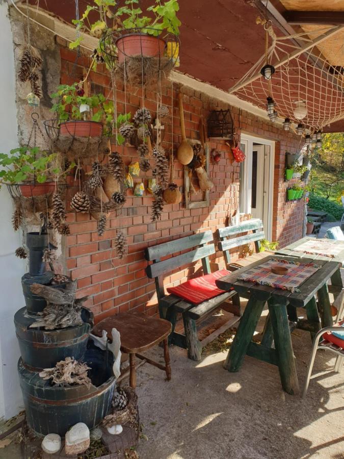 Vila Lena Meduvrsje Exterior foto